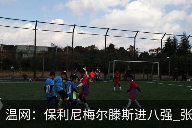 温网：保利尼梅尔滕斯进八强 张帅混双挺进半决赛